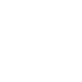 bad bunny